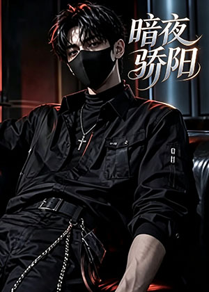 暗夜骄阳