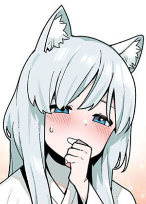 银狐与守墓人
