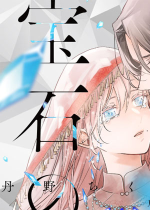 宝石之子