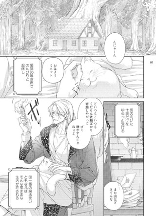 猫胜任不了剑士 截图3