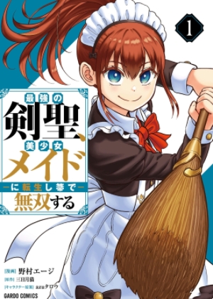 最强剑圣，转生为美少女女仆，用扫帚无双